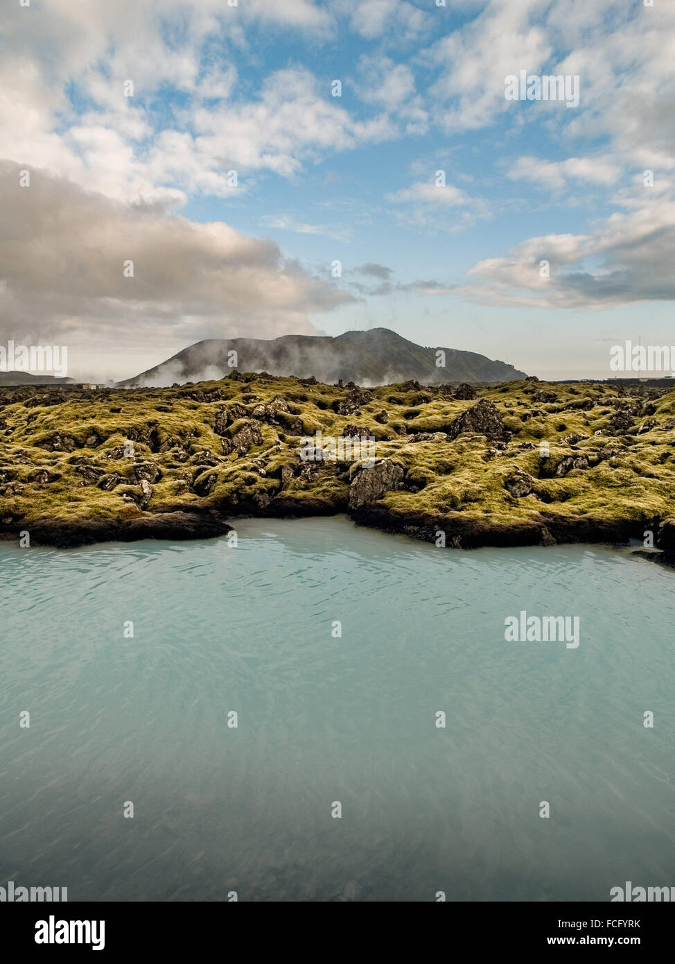 Silica rich blue green water outside of the Blue Lagoon Spa in a lava rock green mossy field in Iceland. Stock Photo