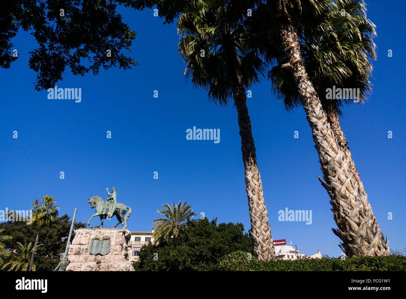 Palma de bronce hi-res stock photography and images - Alamy