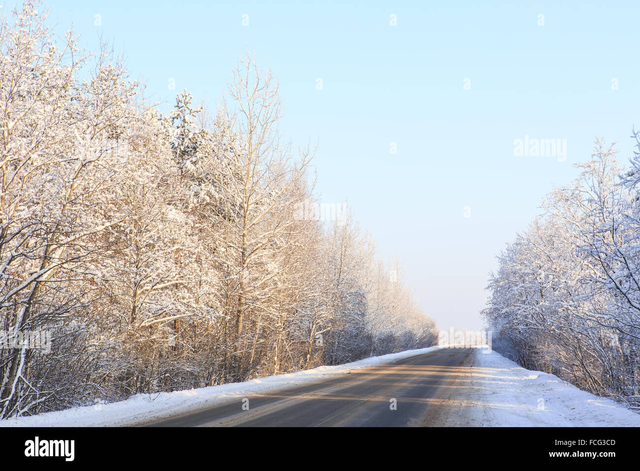 Winter road through snowy forests Stock Photo - Alamy