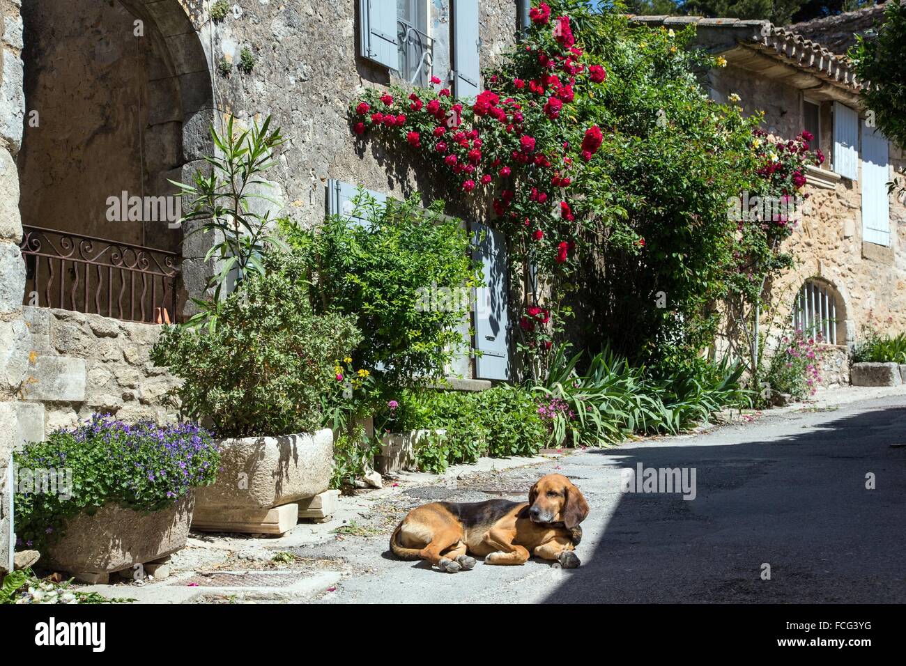 REGIONAL NATURE PARK OF THE LUBERON, FRANCE Stock Photo