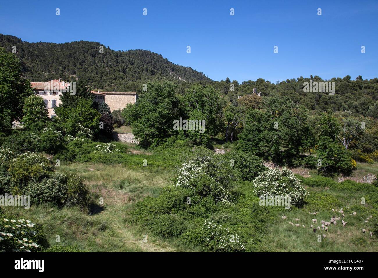 REGIONAL NATURE PARK OF THE LUBERON, VAUCLUSE, FRANCE Stock Photo