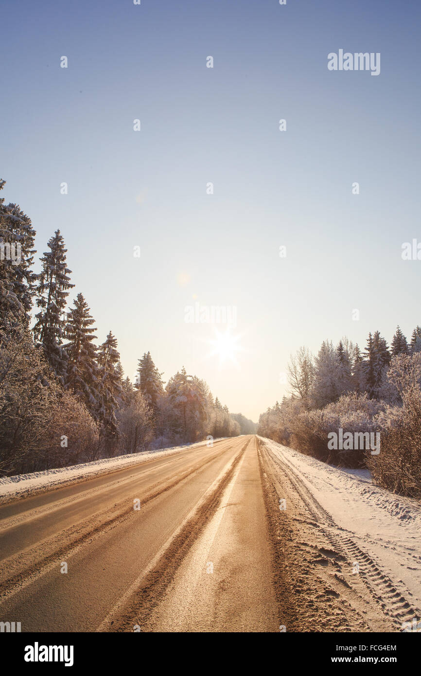 Winter road through snowy forests Stock Photo - Alamy