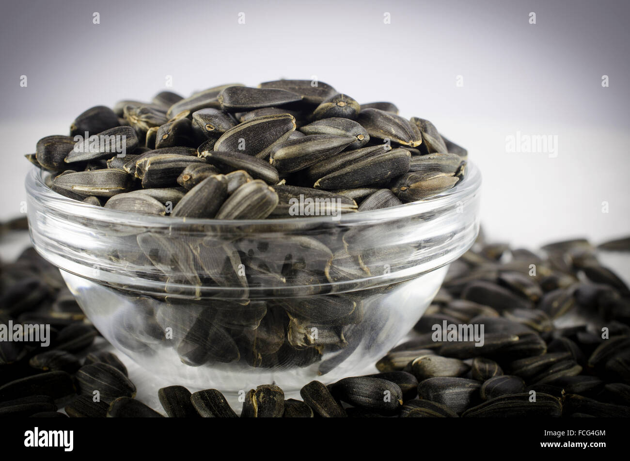 Black sunflower seeds Stock Photo Alamy