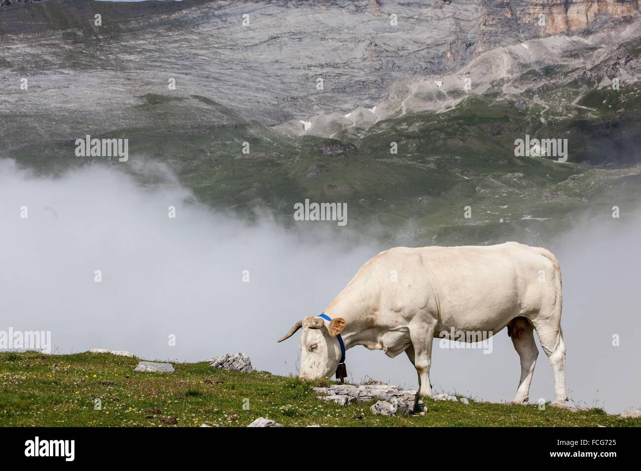 ESTIVE IN THE HAUTES PYRENEES (65), MIDI PYRENEES, FRANCE Stock Photo