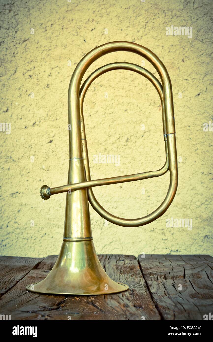 Valveless on sale brass instrument