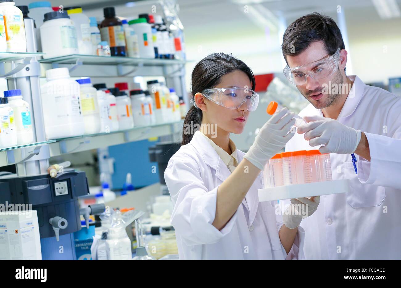 Researchers. Biological test laboratory. Chemical Analysis Laboratory. Technological Services to