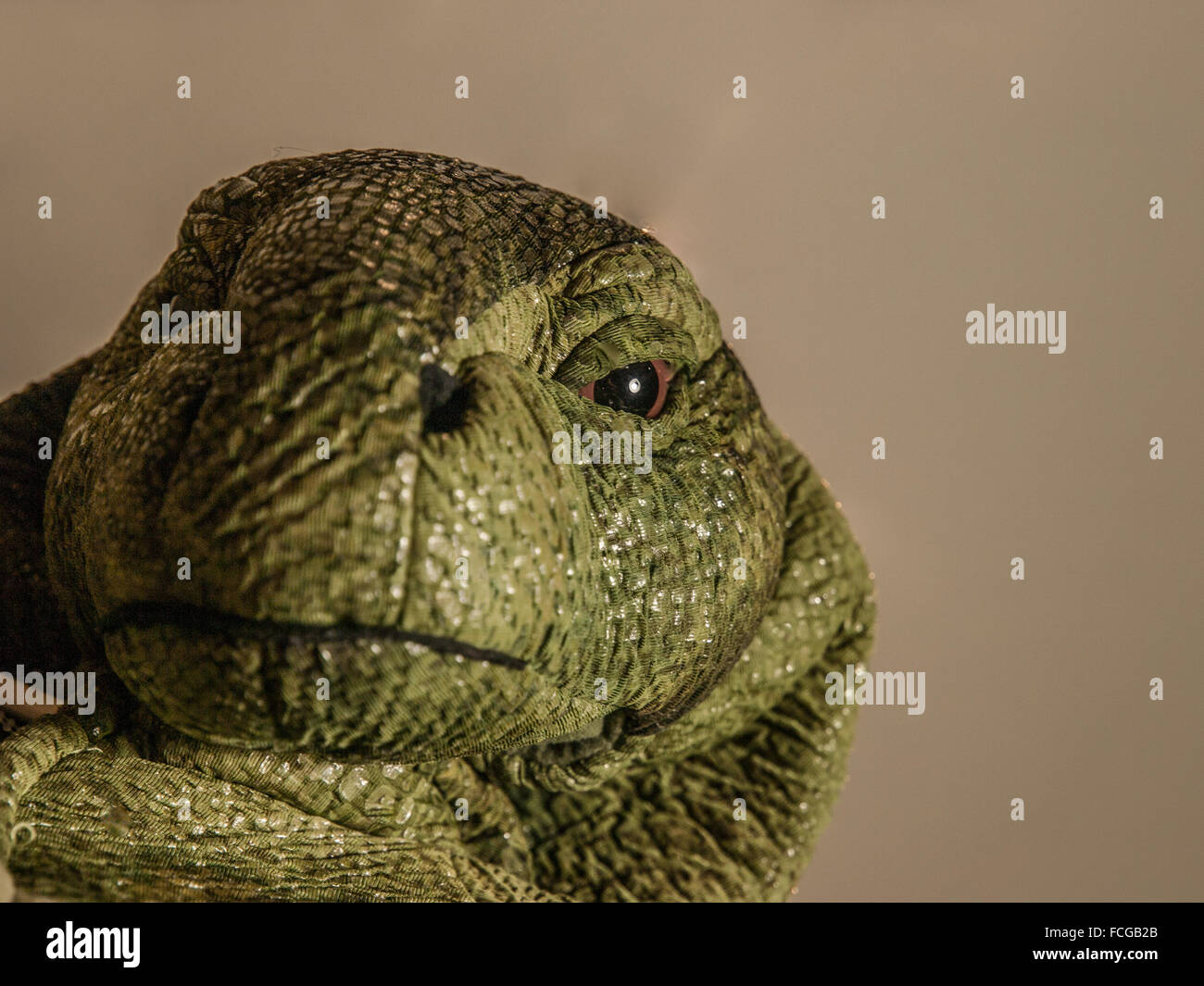 Lizard costume hi-res stock photography and images - Alamy