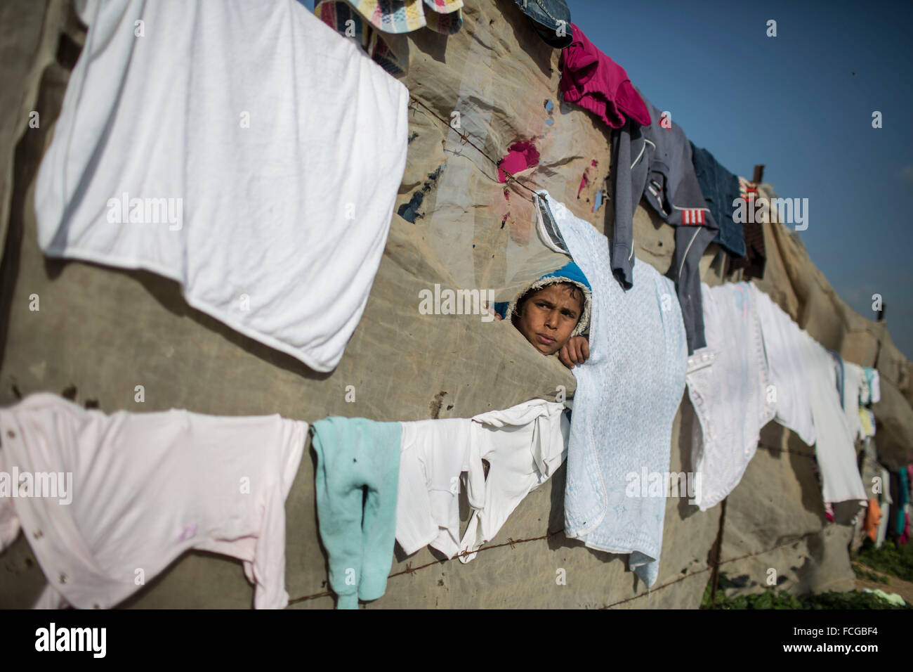 Gaza, Gaza Strip. 22nd Jan, 2016. A Palestinian boy peeks out through a hole in his family's tent in a poverty-stricken area of Beit Hanun town, in the northern Gaza Strip, on Jan 22, 2016. © Wissam Nassar/Xinhua/Alamy Live News Stock Photo