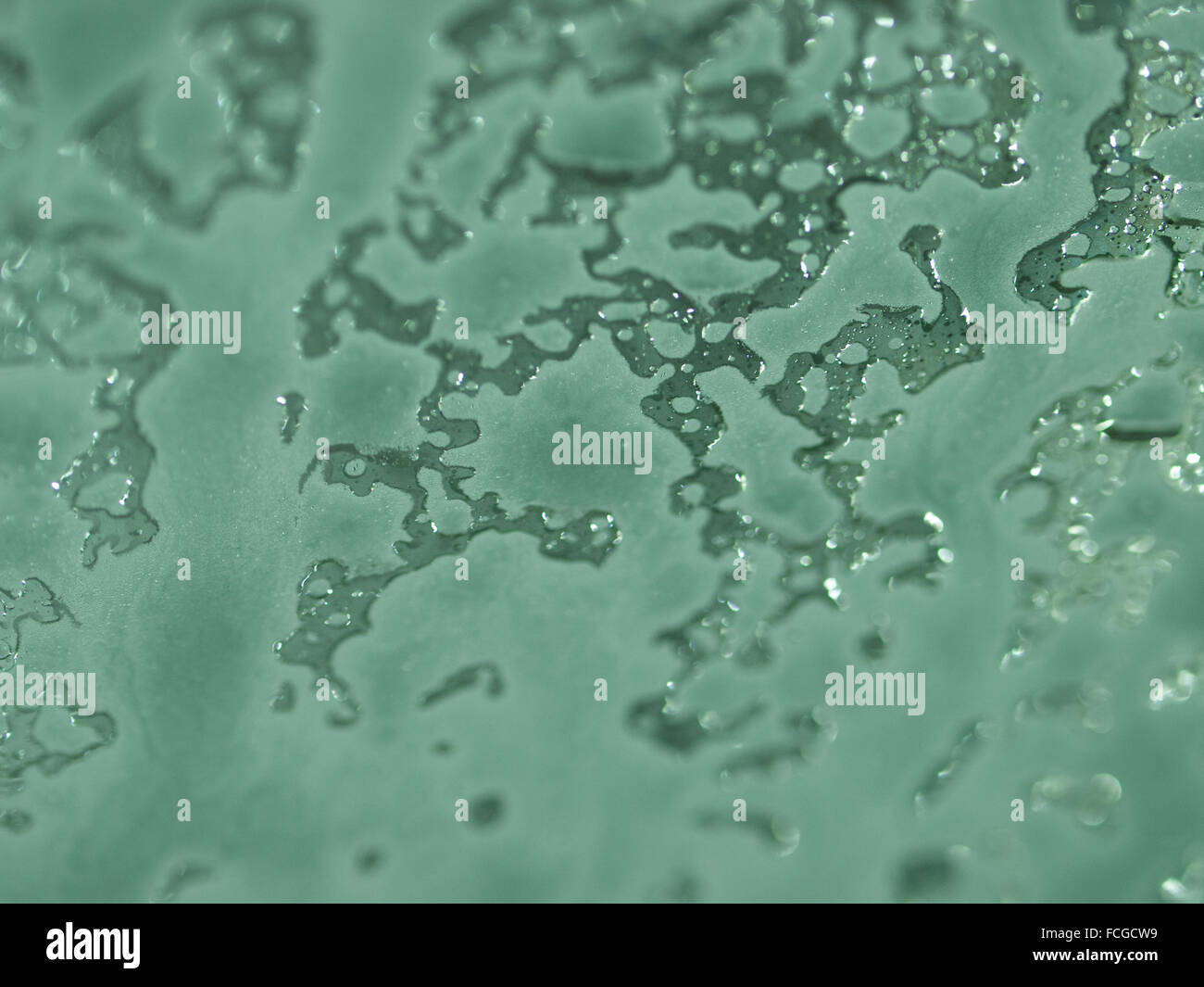 Soap suds on a windshield at the car wash. Stock Photo