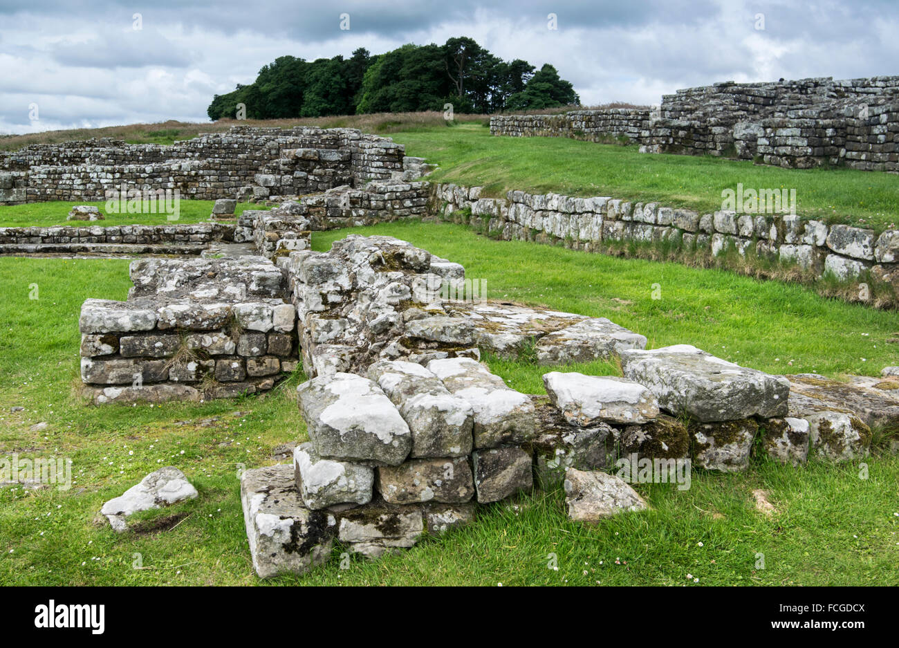 Housesteads Roman fort by Hadrian's wall, Northumberland, England, UK Stock Photo