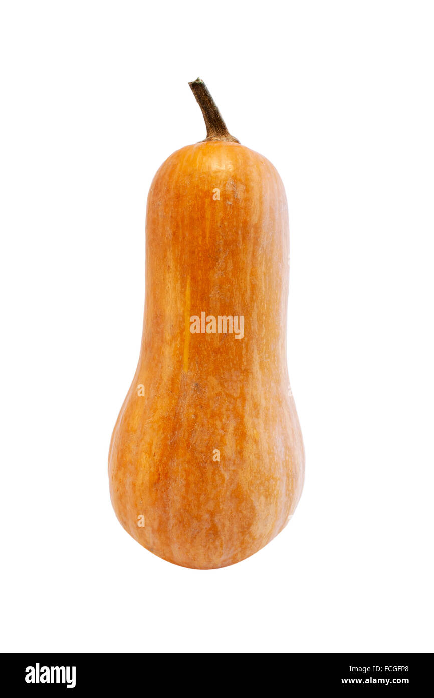 Orange pumpkin isolated on white background Stock Photo - Alamy