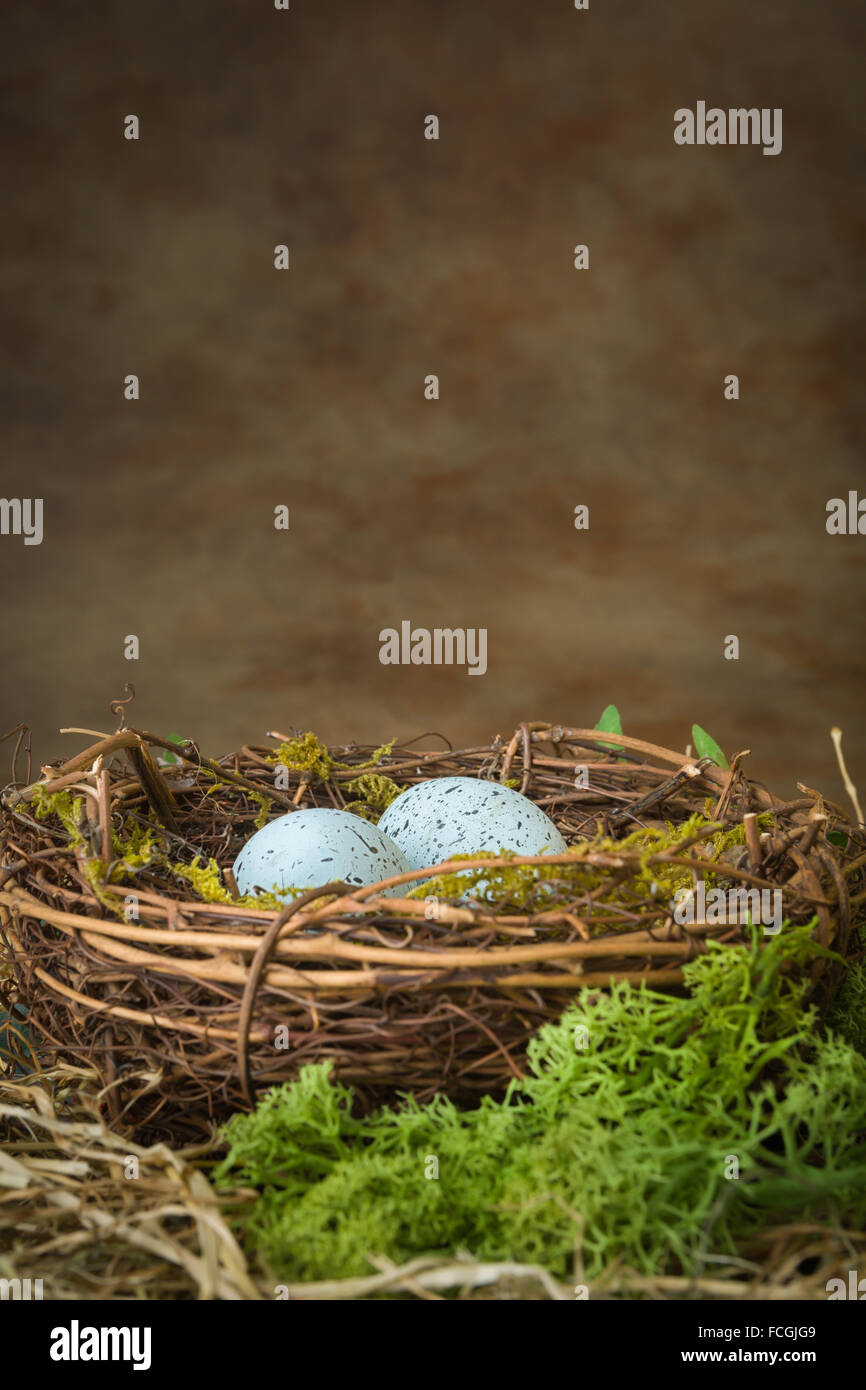 Blue speckled eggs lying in a bird's nest Stock Photo Alamy