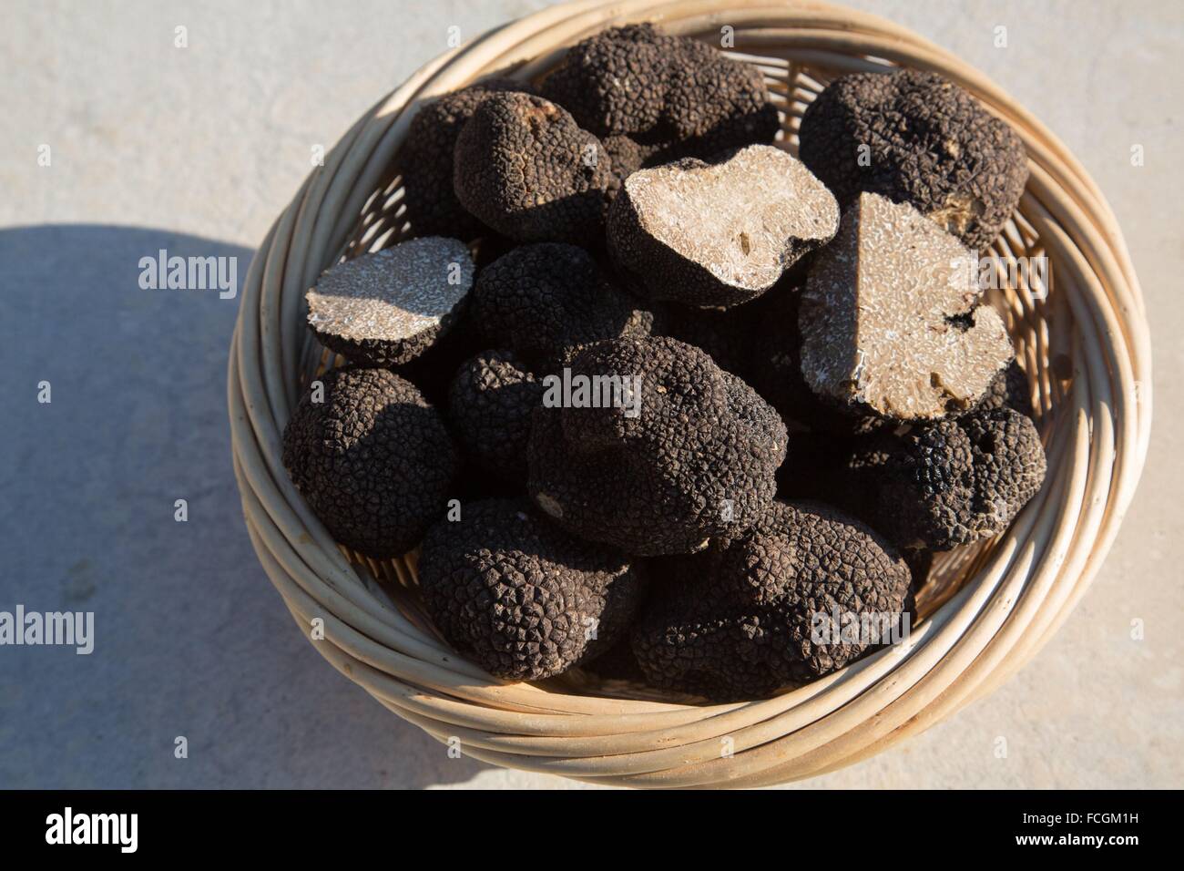 THE BLACK TRUFFLE, PUJAUT, (30), GARD, LANGUEDOC-ROUSSILLON, FRANCE Stock Photo