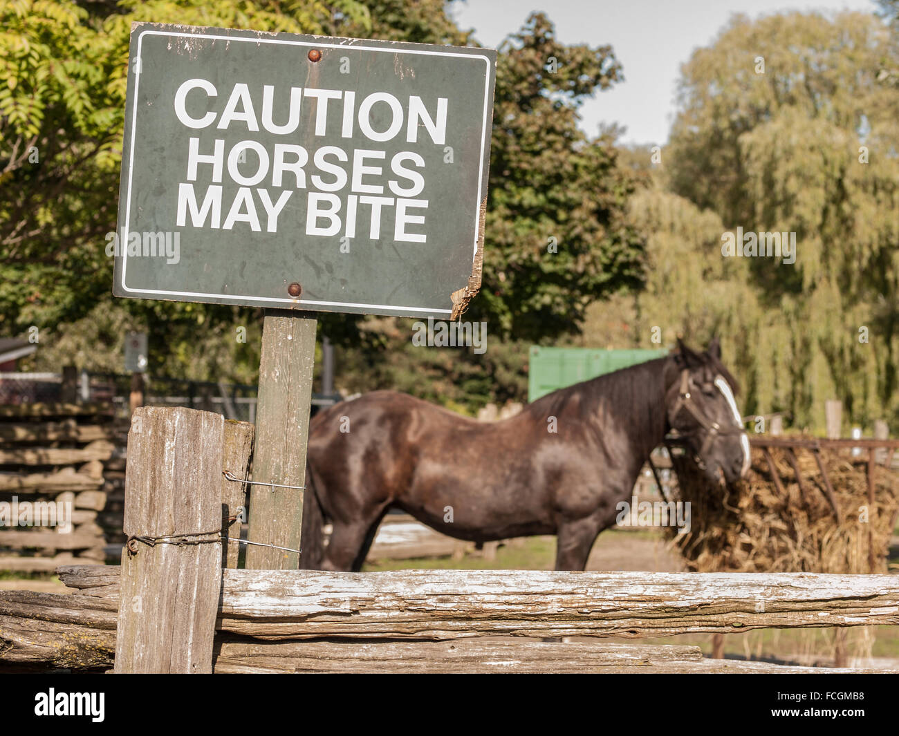 Horse bite hires stock photography and images Alamy
