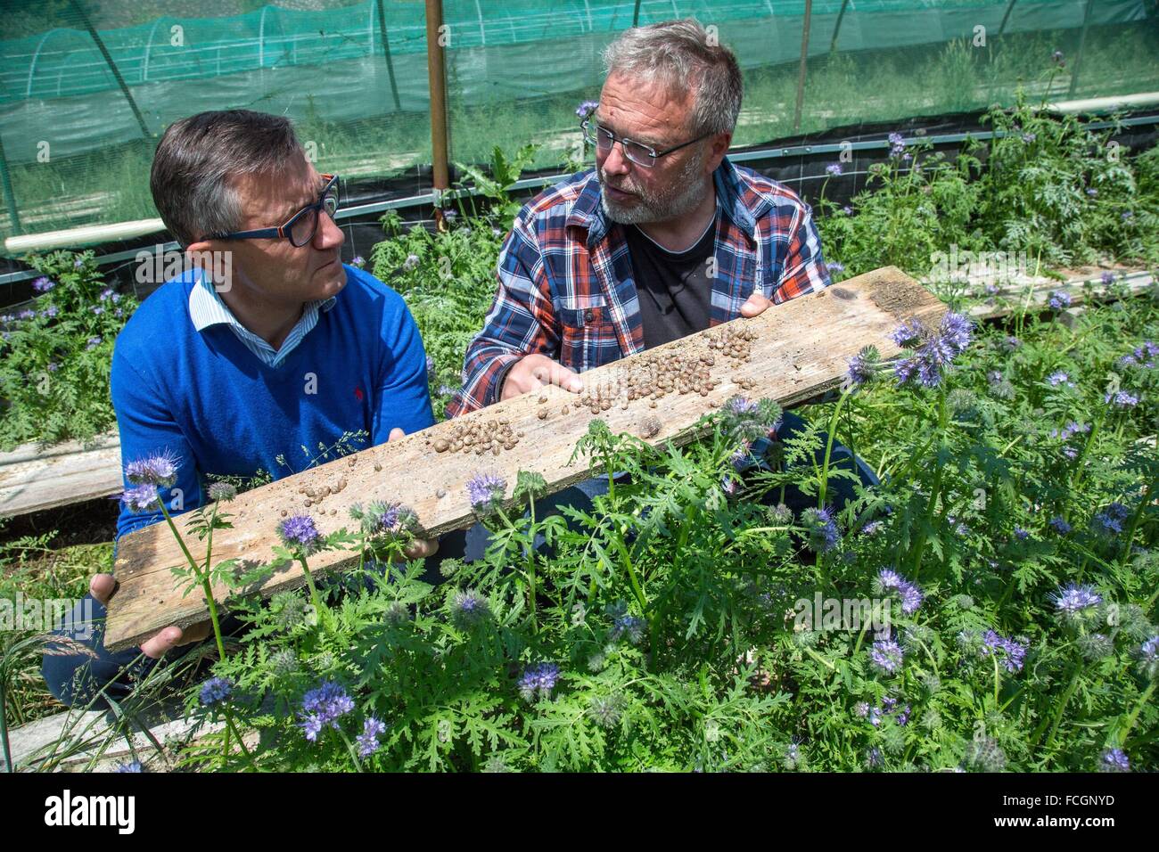 PRODUCE OF THE LAND, TRUE QUALITY FOOD, FRANCE Stock Photo
