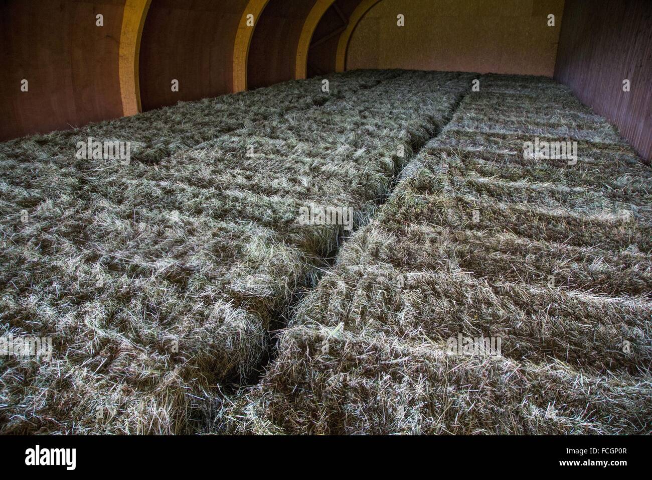 FARMING IN FRANCE Stock Photo