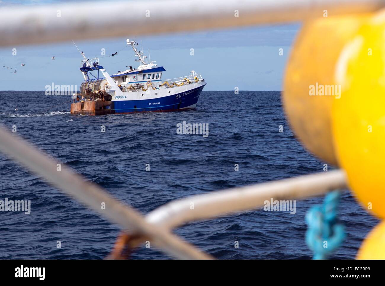 THE BOAT MOOREA FROM SAINT-NAZAIRE, SEA FISHING ON THE SHRIMP TRAWLER 'QUENTIN-GREGOIRE' OFF THE COAST OF SABLES-D'OLONNE (85), Stock Photo