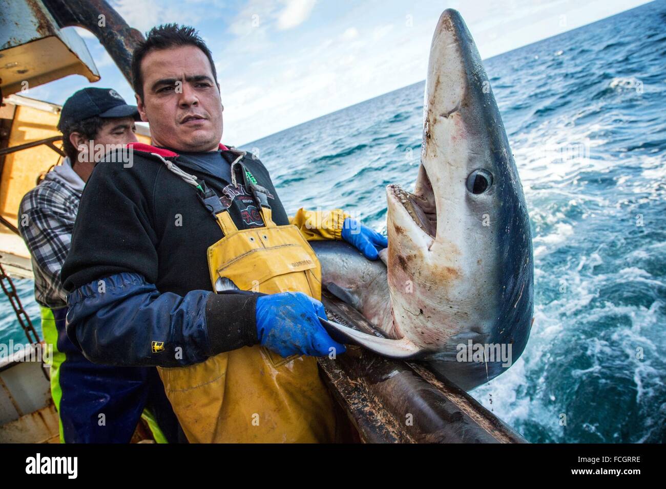 PRAWN FISHING AT SEA, FRANCE Stock Photo Alamy