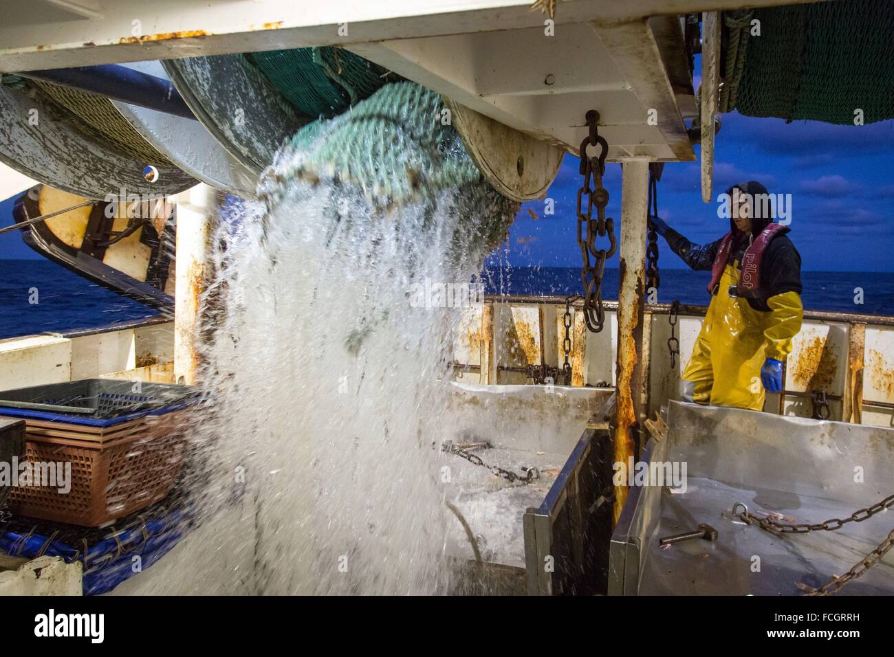 PRAWN FISHING AT SEA, FRANCE Stock Photo Alamy