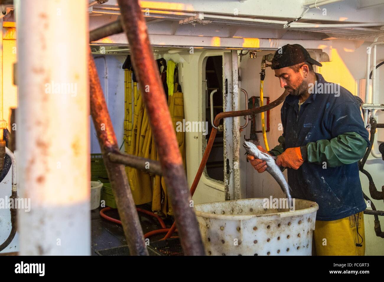 PRAWN FISHING AT SEA, FRANCE Stock Photo Alamy