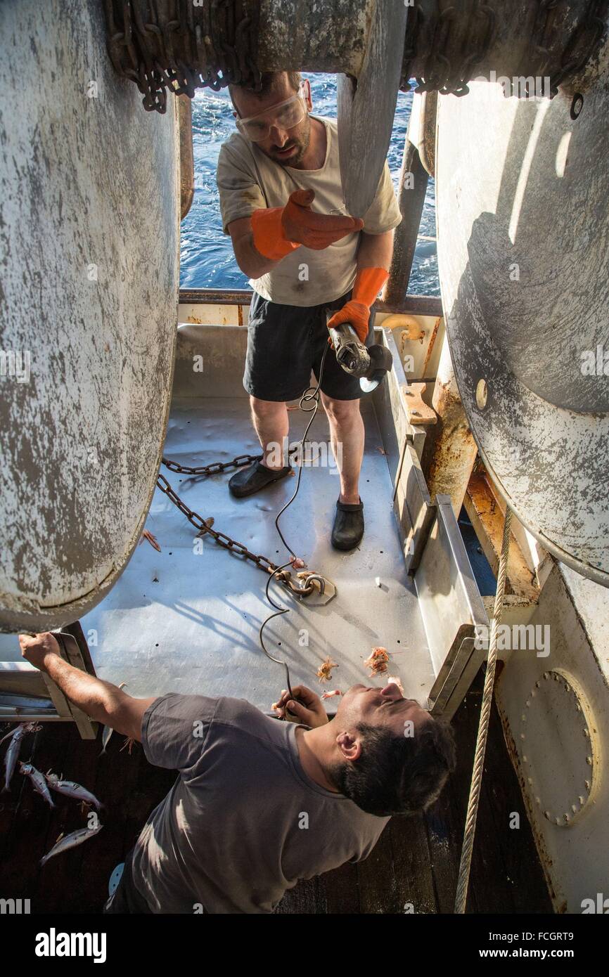 PRAWN FISHING AT SEA, FRANCE Stock Photo Alamy