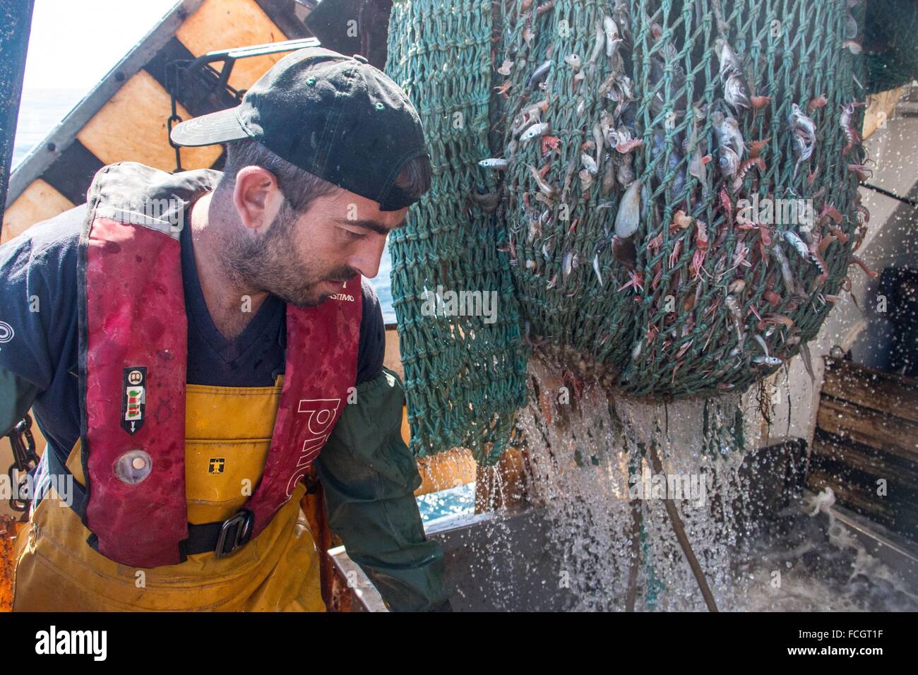 PRAWN FISHING AT SEA, FRANCE Stock Photo Alamy