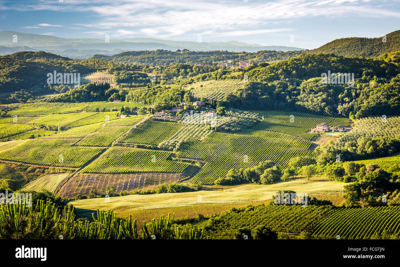 Aerial view of green vineyards in Tuscany, Italy Stock Photo