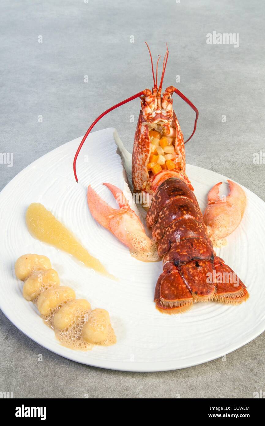 DISHES FROM THE COOKBOOK BY LAURENT CLEMENT, MICHELIN-STARRED CHEF, CHARTRES, FRANCE Stock Photo