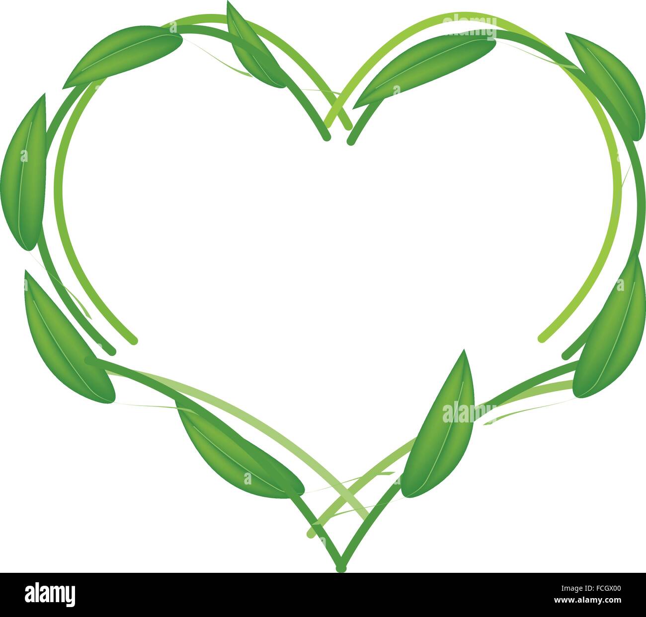 Love Concept, Illustration of Green Leaves in A Heart Shape Isolated on ...