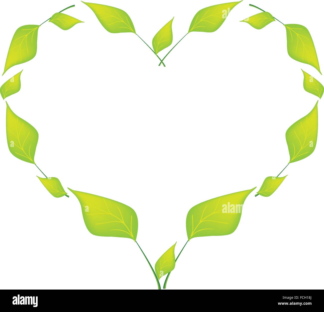 Love Concept, Illustration of Beautiful Green Leaves Forming in A Heart ...