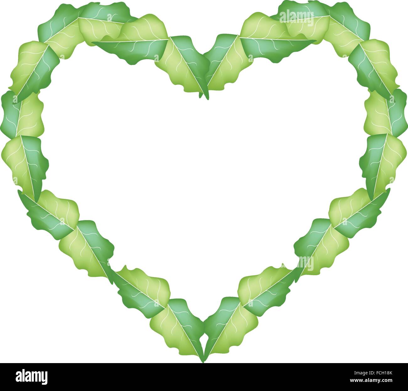Love Concept, Beautiful Green Leaves Forming in A Heart Shape Isolated ...