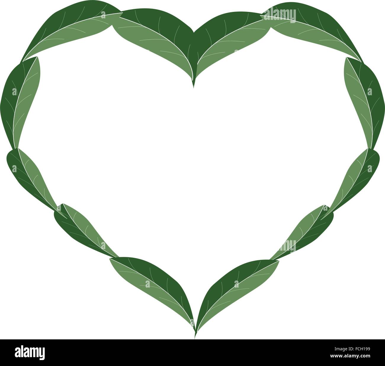 Love Concept, Green Leaves Forming in A Beautiful Heart Shape Isolated ...