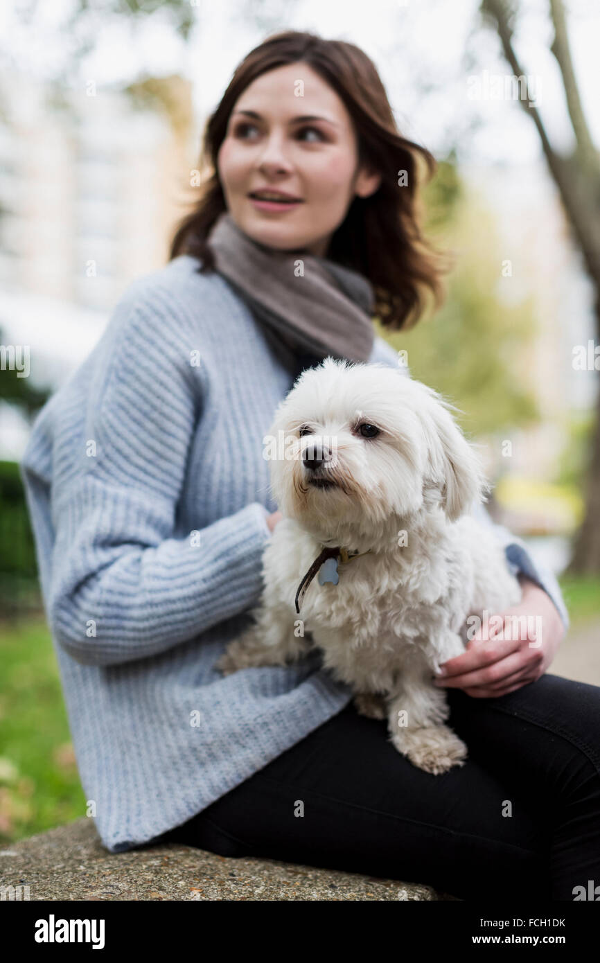 Portrait of little dog sitting on lap of his owner Stock Photo - Alamy