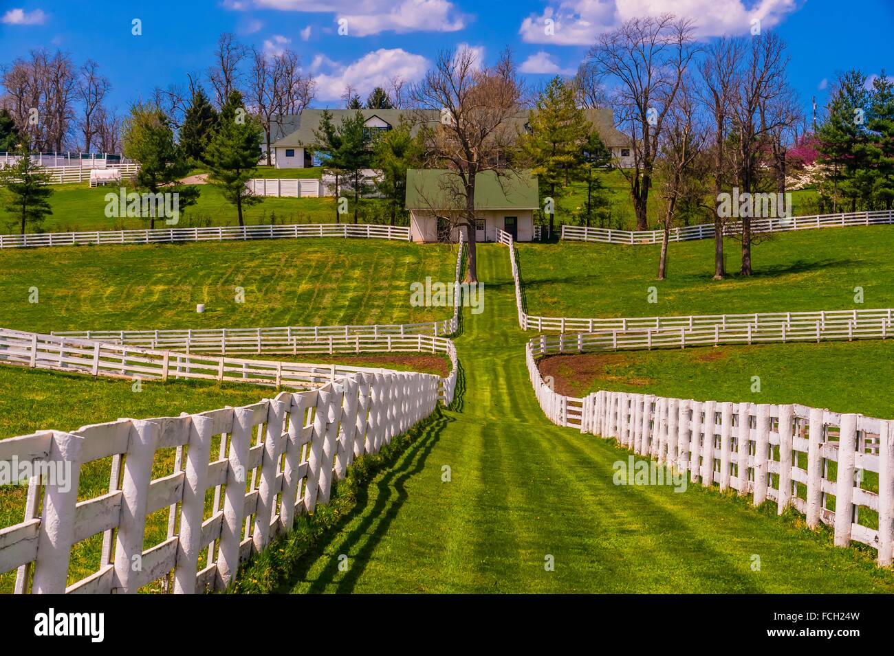 Darby Dan Farm (thoroughbred horse farm), Lexington, Kentucky USA Stock