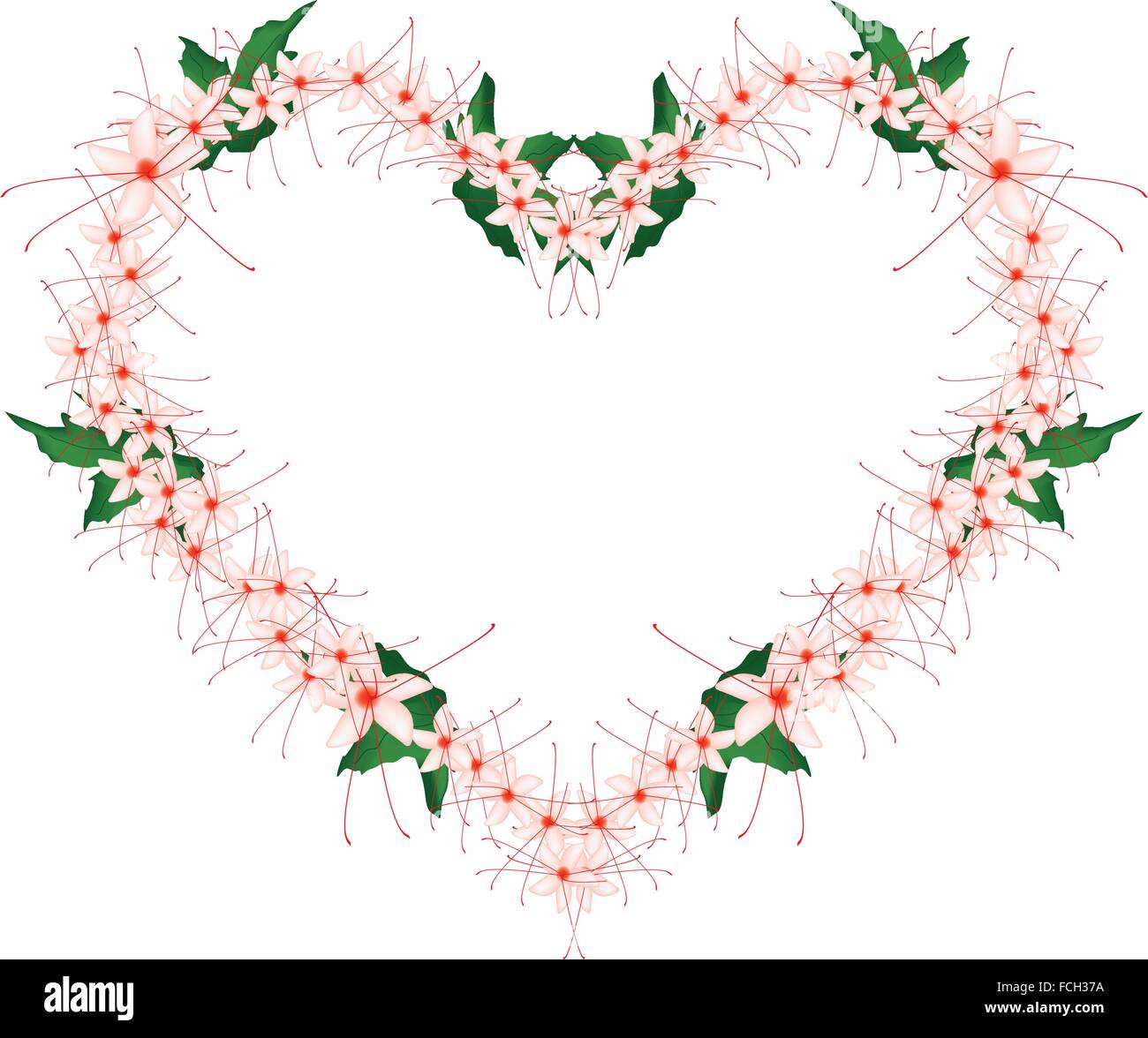 Love Concept, Illustration of Red Clerodendrum Paniculatum Flowers or Pagoda Flowers Forming in Heart Shape Frame Isolated on Wh Stock Vector