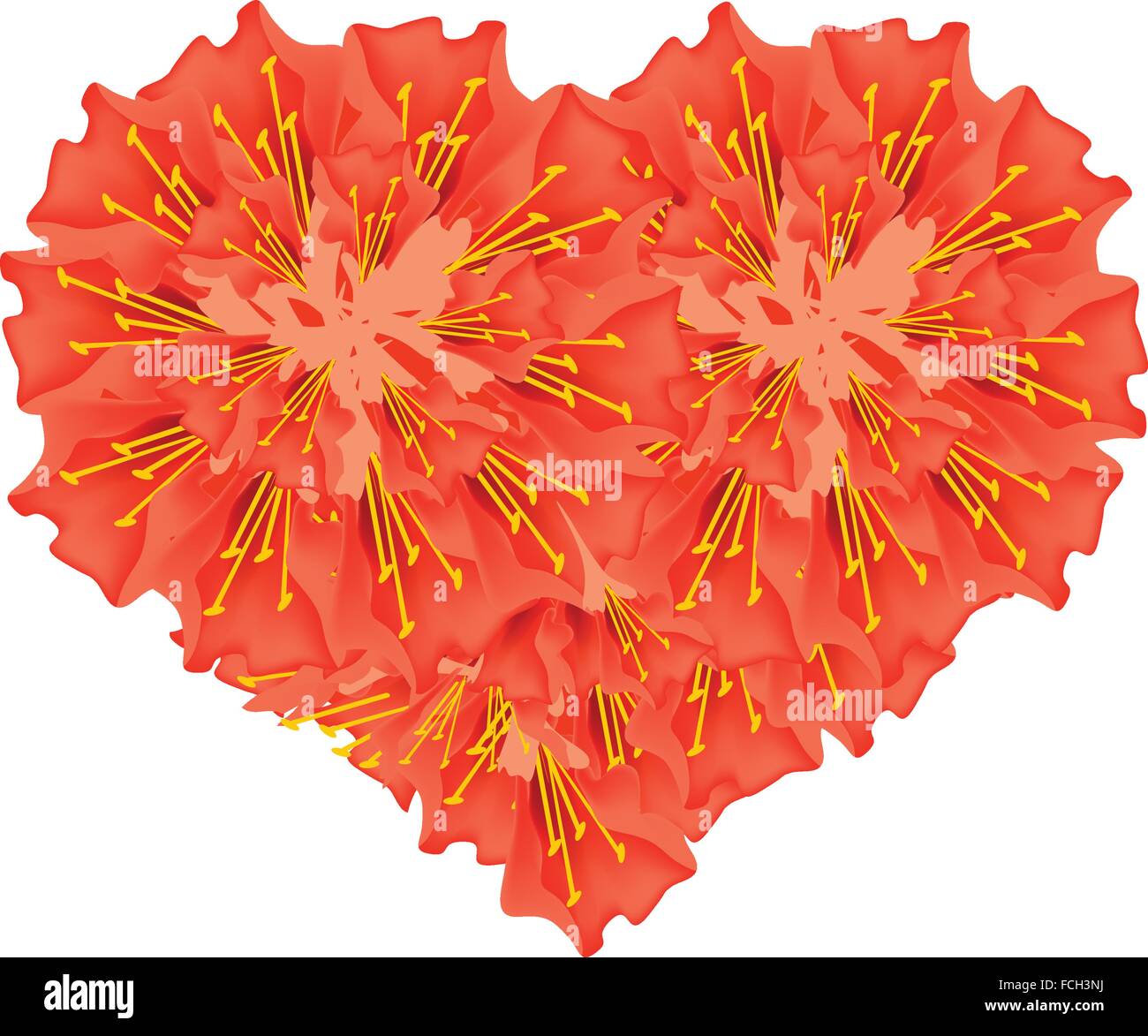 Love Concept, Illustration of Rose of Venezuela, Scarlet Flame Bean or Brownea Ariza Flowers Forming in Heart Shape Isolated on Stock Vector