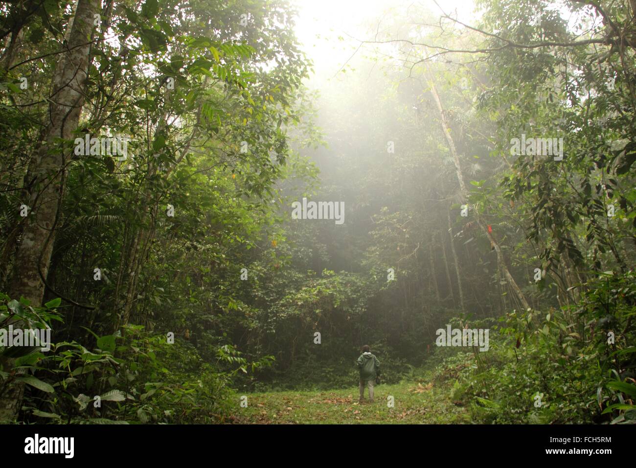Jungle Explorer High Resolution Stock Photography and Images - Alamy