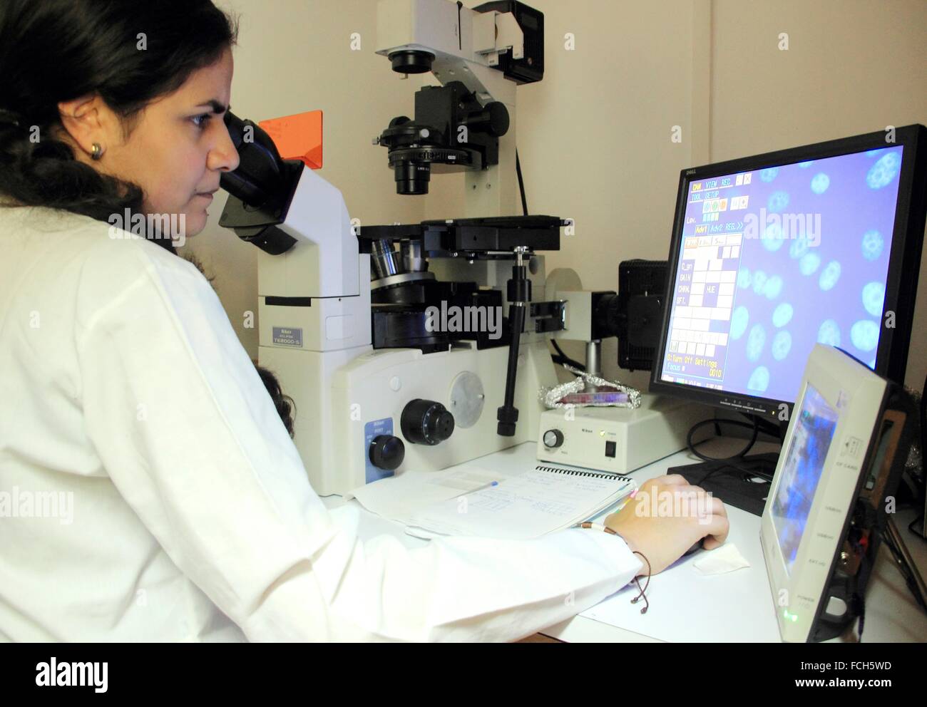 Cells microscope hires stock photography and images Alamy