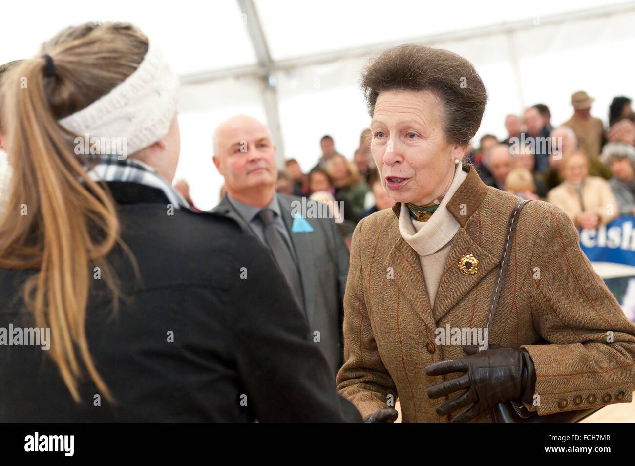 Princess anne royal society hi-res stock photography and images - Alamy