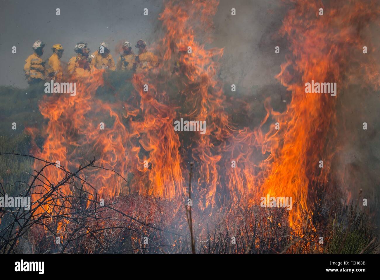 CURTAIN OF FLAMES Stock Photo