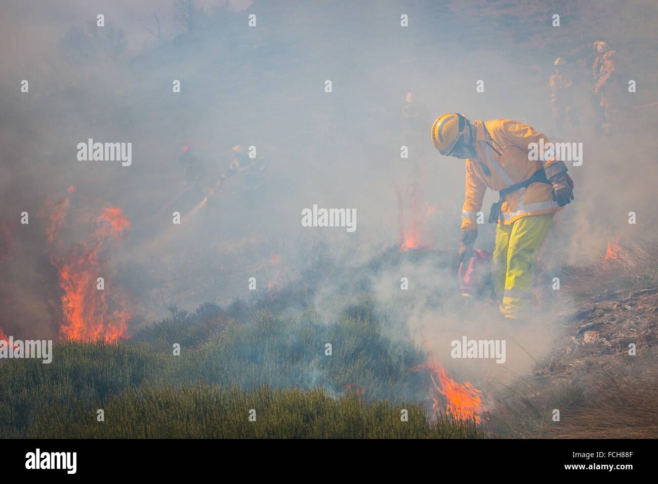 TACTICAL FIRE, FIREFIGHTERS Stock Photo