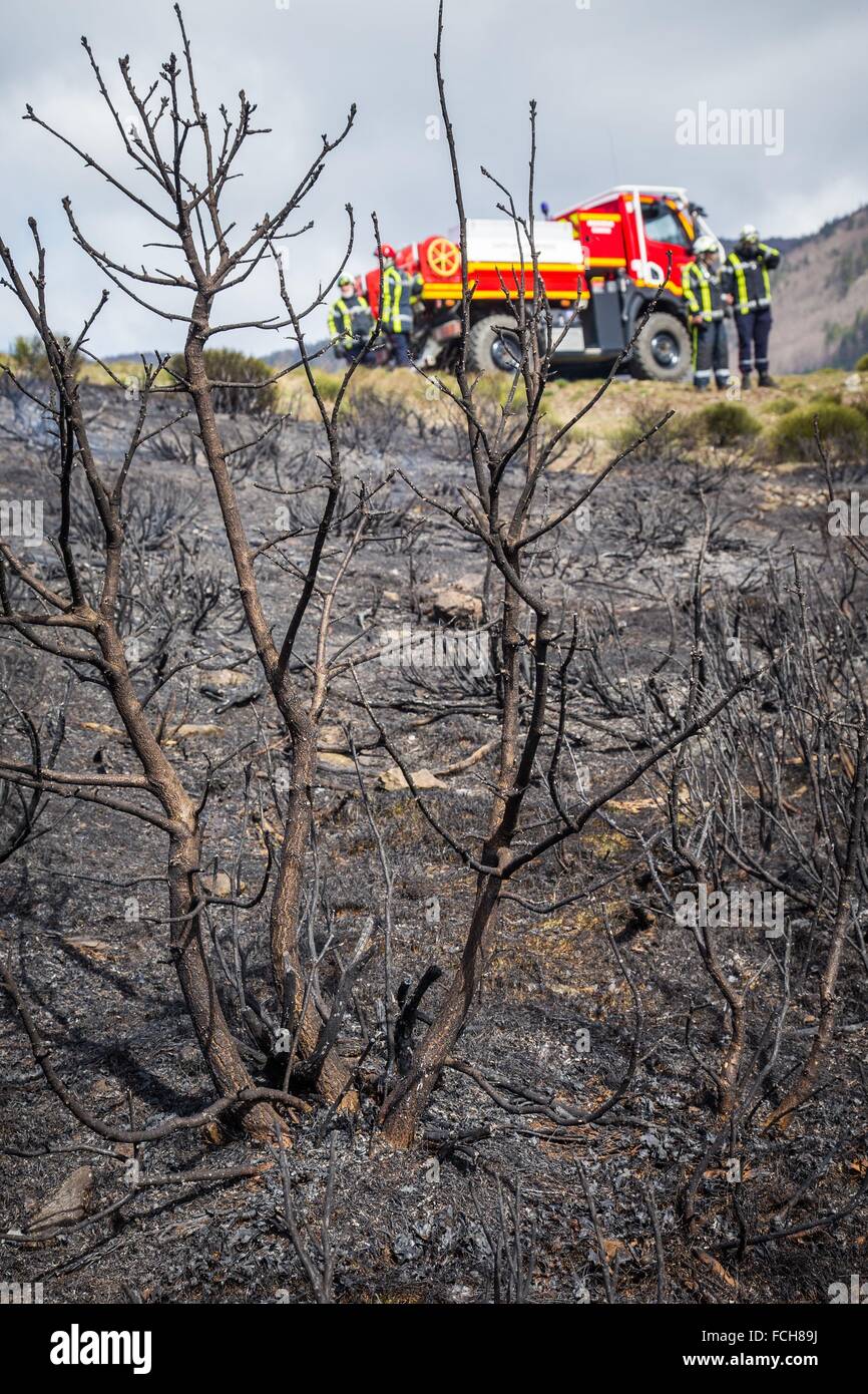 FOREST FIRE Stock Photo