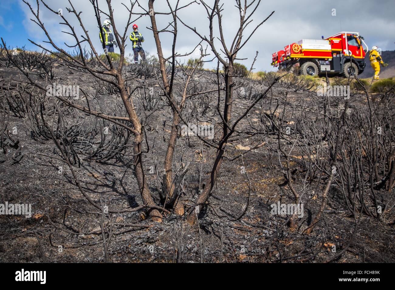 FOREST FIRE Stock Photo