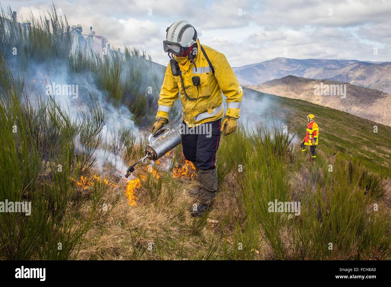 TACTICAL FIRE, FIREFIGHTERS Stock Photo