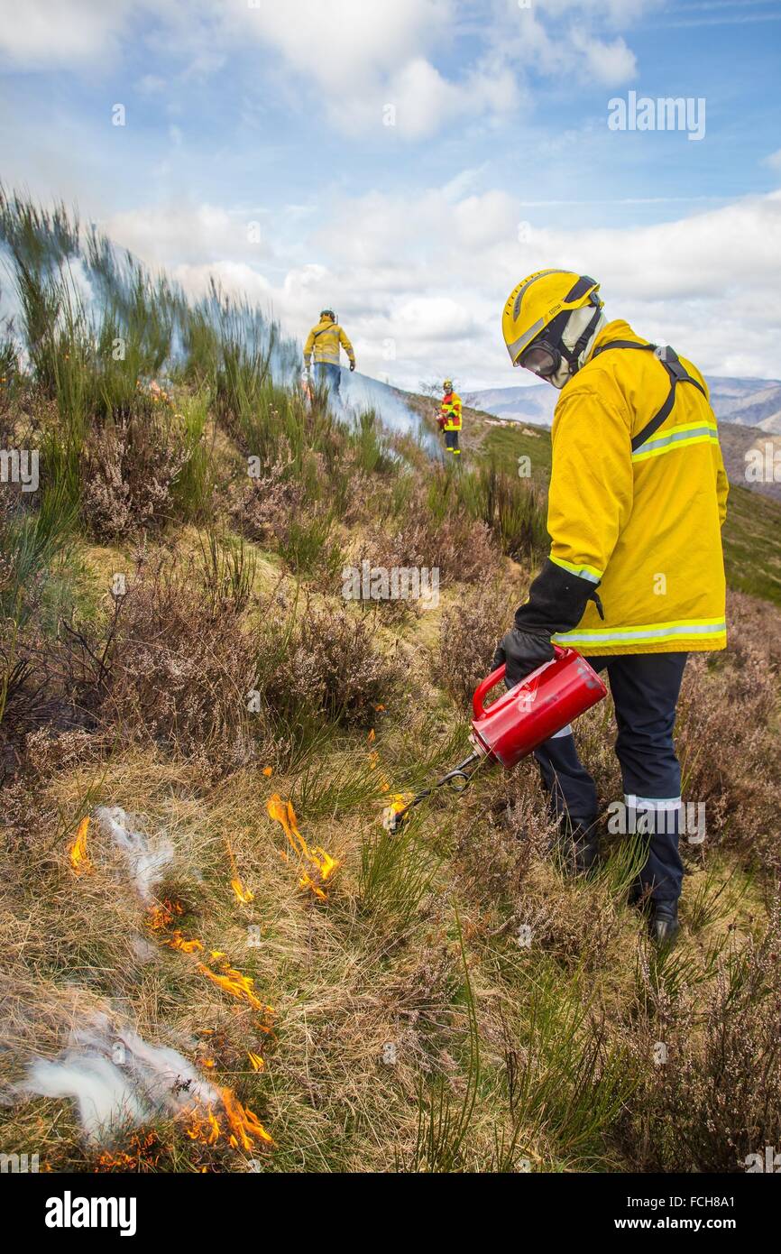 TACTICAL FIRE, FIREFIGHTERS Stock Photo