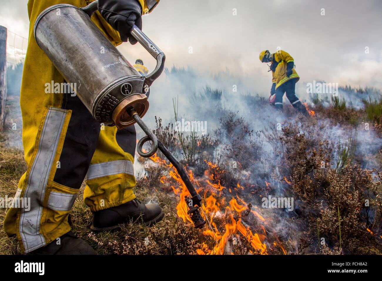 TACTICAL FIRE, FIREFIGHTERS Stock Photo