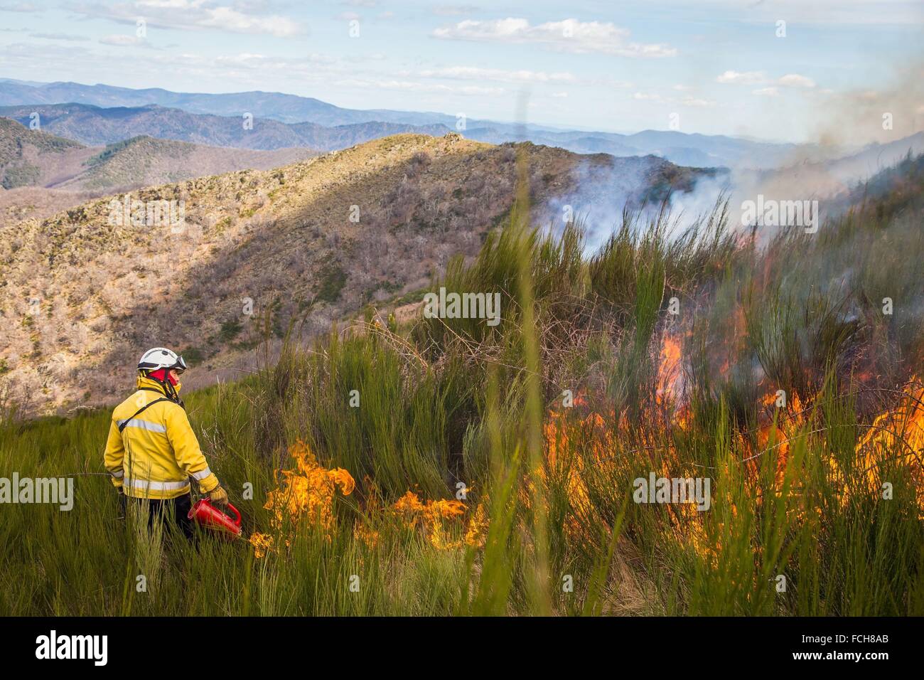 TACTICAL FIRE, FIREFIGHTERS Stock Photo