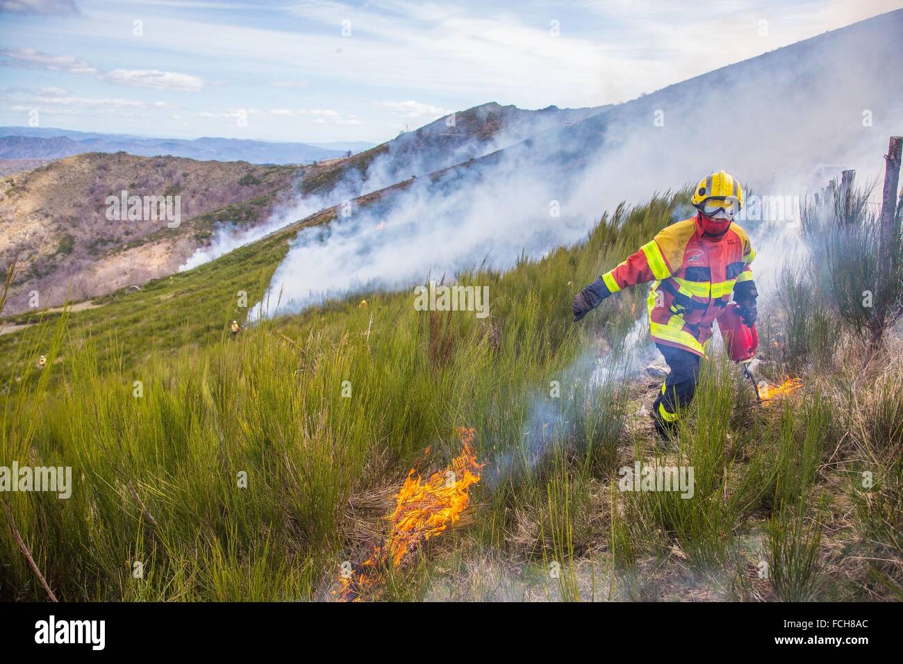 TACTICAL FIRE, FIREFIGHTERS Stock Photo