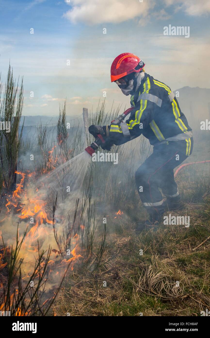 FOREST FIRE Stock Photo