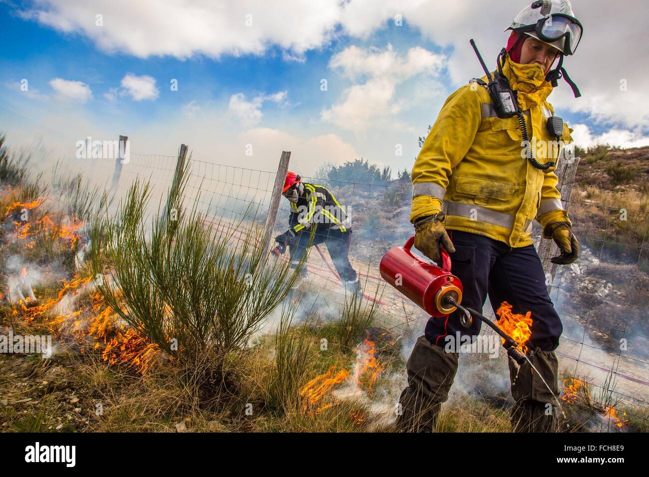 TACTICAL FIRE, FIREFIGHTERS Stock Photo